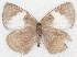  ( - MLIB-2288)  @13 [ ] CreativeCommons - Attribution Non-Commercial Share-Alike (2017) Michel Libert Centre for Biodiversity Genomics
