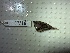  ( - FMNH87510)  @11 [ ] Unspecified (default): All Rights Reserved  Unspecified Unspecified