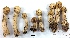  ( - CHMO04364)  @11 [ ] Copyright (2017) Unspecified National Institute of Health, Dept of Medical Sciences