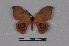  ( - BC-TDMPEG0008)  @11 [ ] CreativeCommons - Attribution Share-Alike (2019) Unspecified Universite Montpellier, CEFE Lab