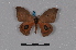  ( - BC-TDMPEG0007)  @11 [ ] CreativeCommons - Attribution Share-Alike (2019) Unspecified Universite Montpellier, CEFE Lab