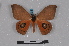  ( - BC-TDMPEG0009)  @11 [ ] CreativeCommons - Attribution Share-Alike (2019) Unspecified Universite Montpellier, CEFE Lab