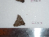  ( - BC-Dec1573)  @12 [ ] Copyright (2010) Unspecified Universite de Rouen, laboratoire ECODIV