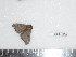  ( - BC-Dec1574)  @13 [ ] Copyright (2010) Unspecified Universite de Rouen, laboratoire ECODIV