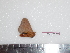  ( - BC-Dec1576)  @14 [ ] Copyright (2010) Unspecified Universite de Rouen, laboratoire ECODIV