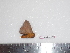  ( - BC-Dec1579)  @14 [ ] Copyright (2010) Unspecified Universite de Rouen, laboratoire ECODIV