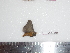  ( - BC-Dec1580)  @12 [ ] Copyright (2010) Unspecified Universite de Rouen, laboratoire ECODIV