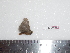  ( - BC-Dec1582)  @12 [ ] Copyright (2010) Unspecified Universite de Rouen, laboratoire ECODIV