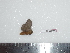  ( - BC-Dec1583)  @12 [ ] Copyright (2010) Unspecified Universite de Rouen, laboratoire ECODIV