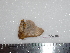  ( - BC-Dec1595)  @12 [ ] Copyright (2010) Unspecified Universite de Rouen, laboratoire ECODIV