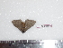  ( - BC-Dec1599)  @13 [ ] Copyright (2010) Unspecified Universite de Rouen, laboratoire ECODIV