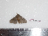  ( - BC-Dec1600)  @13 [ ] Copyright (2010) Unspecified Universite de Rouen, laboratoire ECODIV