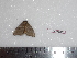  ( - BC-Dec1601)  @12 [ ] Copyright (2010) Unspecified Universite de Rouen, laboratoire ECODIV