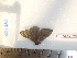  ( - BC-Dec1630)  @12 [ ] Copyright (2010) Unspecified Universite de Rouen, laboratoire ECODIV