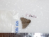  ( - BC-Dec1636)  @12 [ ] Copyright (2010) Unspecified Universite de Rouen, laboratoire ECODIV