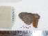  ( - BC-Dec1637)  @12 [ ] Copyright (2010) Unspecified Universite de Rouen, laboratoire ECODIV