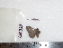  ( - BC-Dec1646)  @12 [ ] Copyright (2010) Unspecified Universite de Rouen, laboratoire ECODIV