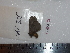  ( - BC-Dec1647)  @13 [ ] Copyright (2010) Unspecified Universite de Rouen, laboratoire ECODIV