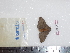  ( - BC-Dec1670)  @12 [ ] Copyright (2010) Unspecified Universite de Rouen, laboratoire ECODIV