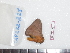  ( - BC-Dec1675)  @14 [ ] Copyright (2010) Unspecified Universite de Rouen, laboratoire ECODIV
