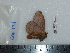  ( - BC-Dec1693)  @12 [ ] Copyright (2010) Unspecified Universite de Rouen, laboratoire ECODIV