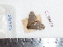  ( - BC-Dec1716)  @13 [ ] Copyright (2010) Unspecified Universite de Rouen, laboratoire ECODIV