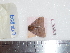  ( - BC-Dec1722)  @13 [ ] Copyright (2010) Unspecified Universite de Rouen, laboratoire ECODIV