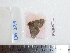  ( - BC-Dec1726)  @12 [ ] Copyright (2010) Unspecified Universite de Rouen, laboratoire ECODIV