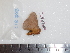  ( - BC-Dec1759)  @13 [ ] Copyright (2010) Unspecified Universite de Rouen, laboratoire ECODIV
