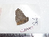  ( - BC-Dec1771)  @12 [ ] Copyright (2010) Unspecified Universite de Rouen, laboratoire ECODIV