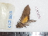  ( - BC-Dec1785)  @13 [ ] Copyright (2010) Unspecified Universite de Rouen, laboratoire ECODIV