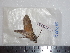  ( - BC-Dec1800)  @12 [ ] Copyright (2010) Unspecified Universite de Rouen, laboratoire ECODIV