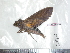  ( - BC-Dec1818)  @11 [ ] Copyright (2010) Unspecified Universite de Rouen, laboratoire ECODIV