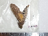  ( - BC-Dec1827)  @11 [ ] Copyright (2010) Unspecified Universite de Rouen, laboratoire ECODIV