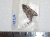  ( - BC-Dec1830)  @12 [ ] Copyright (2010) Unspecified Universite de Rouen, laboratoire ECODIV