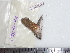  ( - BC-Dec1838)  @12 [ ] Copyright (2010) Unspecified Universite de Rouen, laboratoire ECODIV