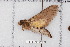  ( - BC-TDMPEG0413)  @13 [ ] Copyright (2012) Rodolphe Rougerie Research Collection of Rodolphe Rougerie