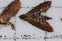  ( - BC-TDMPEG0430)  @12 [ ] Copyright (2012) Rodolphe Rougerie Research Collection of Rodolphe Rougerie