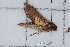 ( - BC-TDMPEG0449)  @12 [ ] Copyright (2012) Rodolphe Rougerie Research Collection of Rodolphe Rougerie