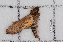  ( - BC-TDMPEG0450)  @12 [ ] Copyright (2012) Rodolphe Rougerie Research Collection of Rodolphe Rougerie