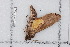  ( - BC-TDMPEG0451)  @12 [ ] Copyright (2012) Rodolphe Rougerie Research Collection of Rodolphe Rougerie