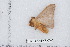  ( - BC-TDMPEG0459)  @13 [ ] Copyright (2012) Rodolphe Rougerie Research Collection of Rodolphe Rougerie