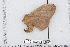  ( - BC-TDMPEG0461)  @12 [ ] Copyright (2012) Rodolphe Rougerie Research Collection of Rodolphe Rougerie