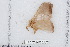  ( - BC-TDMPEG0474)  @13 [ ] Copyright (2012) Rodolphe Rougerie Research Collection of Rodolphe Rougerie