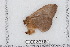  ( - BC-TDMPEG0475)  @12 [ ] Copyright (2012) Rodolphe Rougerie Research Collection of Rodolphe Rougerie