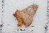  ( - BC-TDMPEG0500)  @13 [ ] Copyright (2012) Rodolphe Rougerie Research Collection of Rodolphe Rougerie