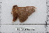  ( - BC-TDMPEG0502)  @12 [ ] Copyright (2012) Rodolphe Rougerie Research Collection of Rodolphe Rougerie