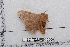  ( - BC-TDMPEG0509)  @12 [ ] Copyright (2012) Rodolphe Rougerie Research Collection of Rodolphe Rougerie