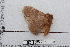  ( - BC-TDMPEG0510)  @12 [ ] Copyright (2012) Rodolphe Rougerie Research Collection of Rodolphe Rougerie