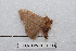  ( - BC-TDMPEG0511)  @12 [ ] Copyright (2012) Rodolphe Rougerie Research Collection of Rodolphe Rougerie